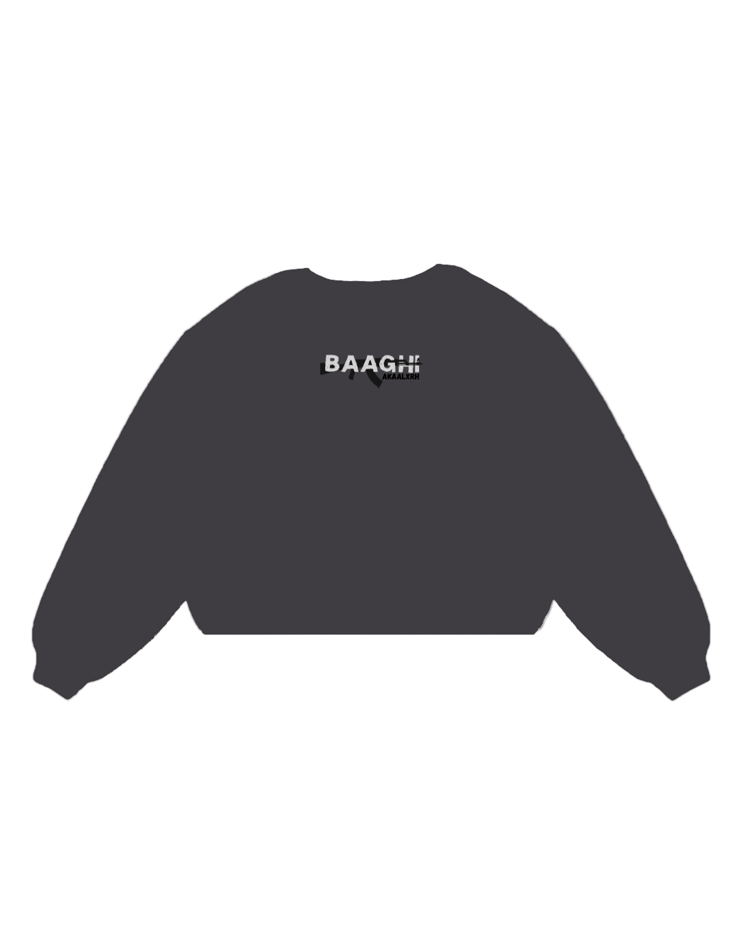 We Are Baaghi Sweatshirt - Dark Grey