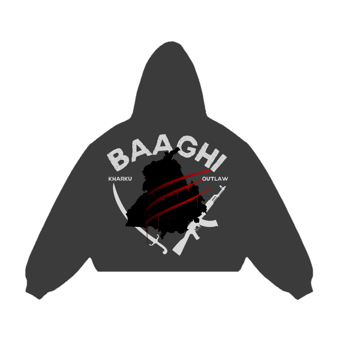 We Are Baaghi Hoodie