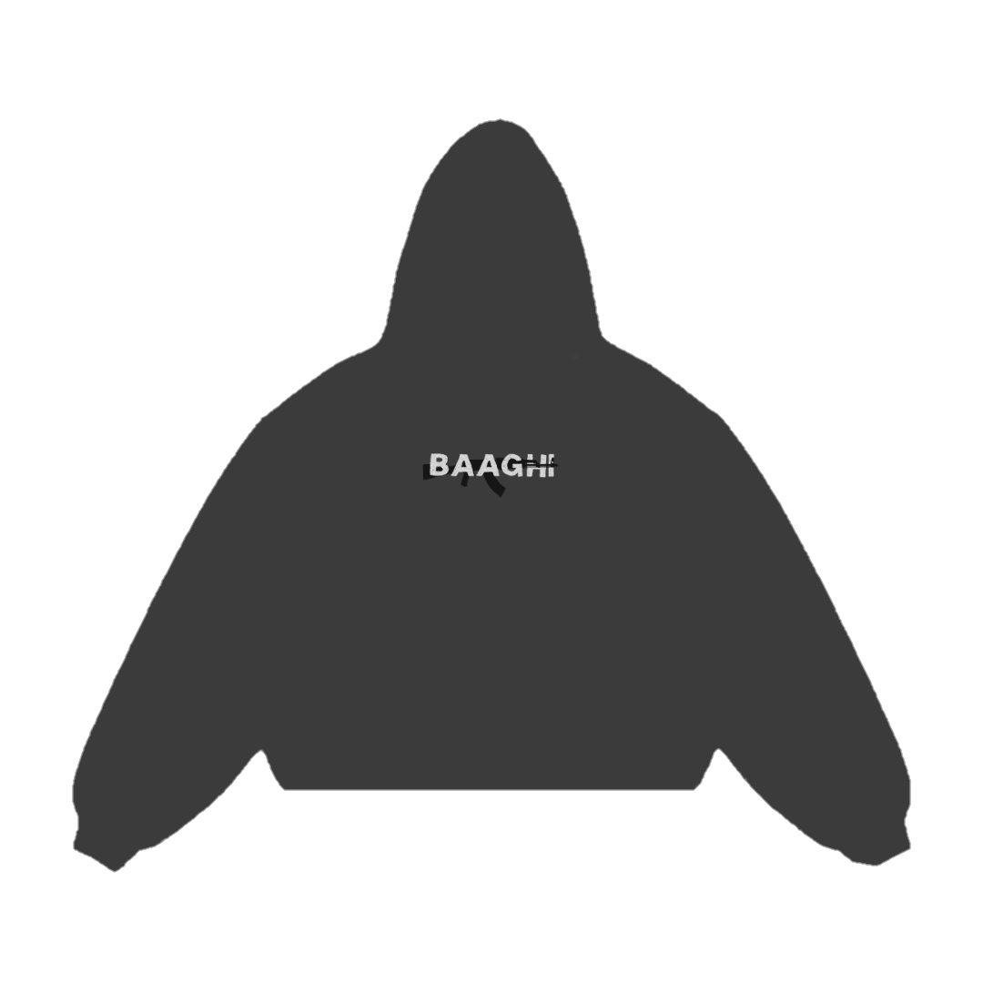 We Are Baaghi Hoodie