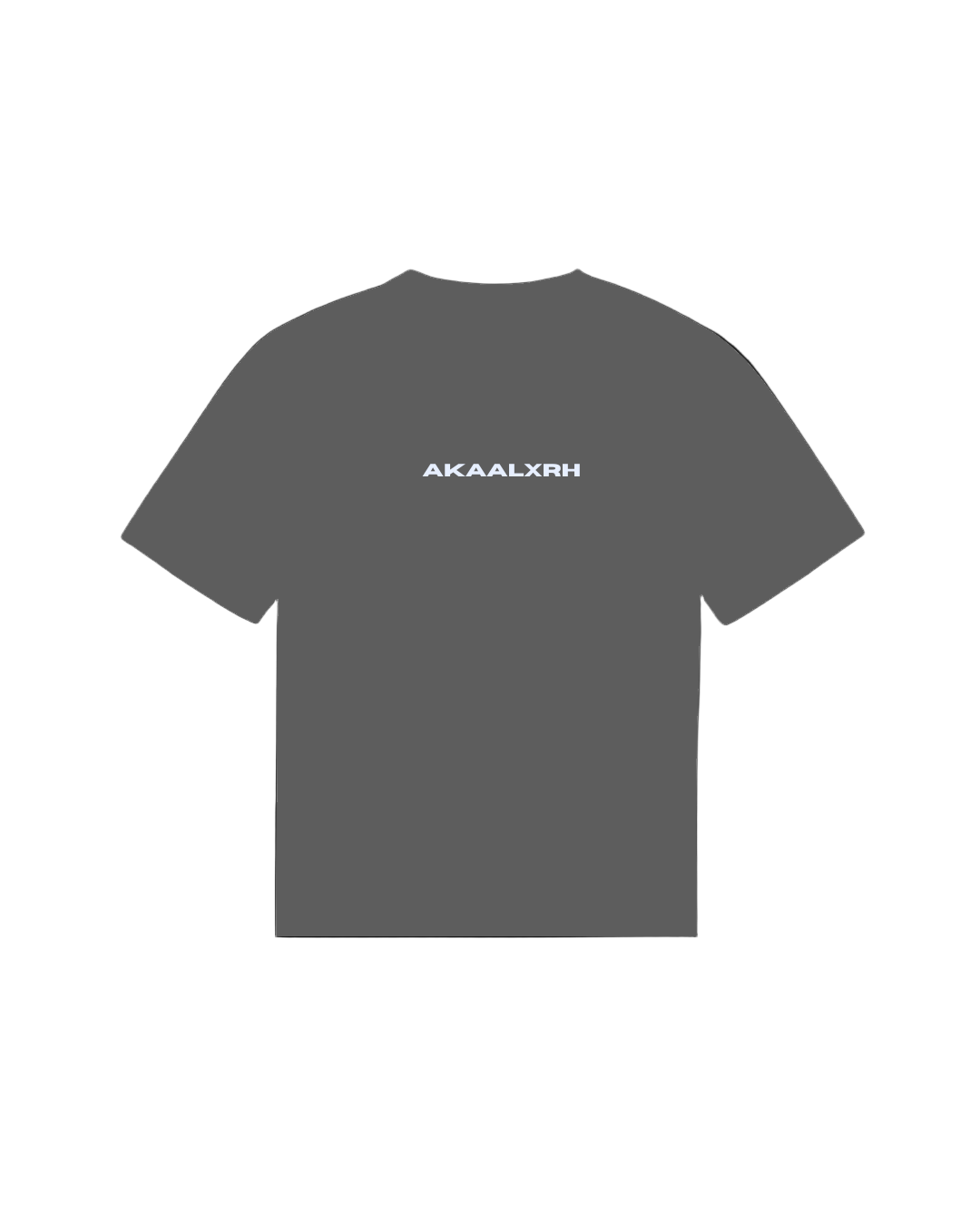 Sage Of Nihang Sports Tee