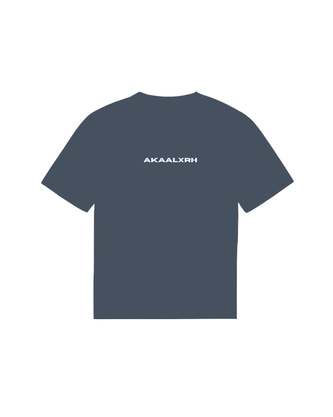Sage Of Nihang Sports Tee